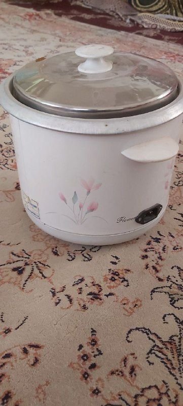 Three liter electric boiler