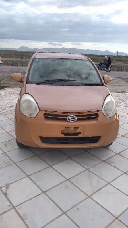 Paso 2010