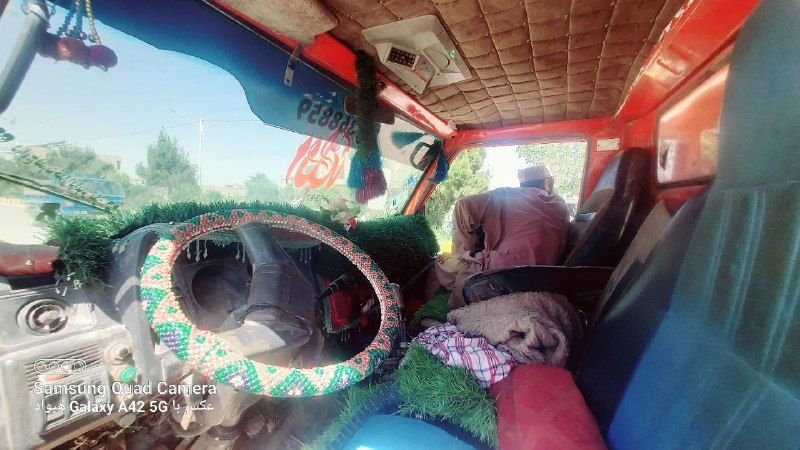 Mulch can also be used as a car ride companion