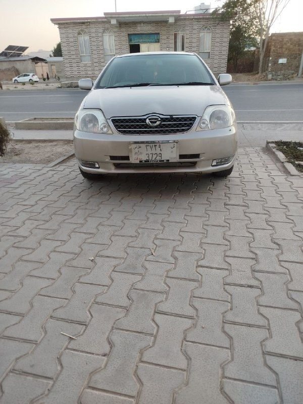 Luxel car sales