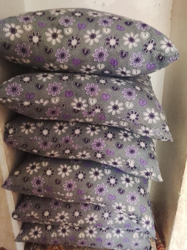 Selling 6 new pillows, never used or washed.