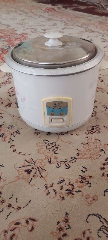 Three liter electric boiler