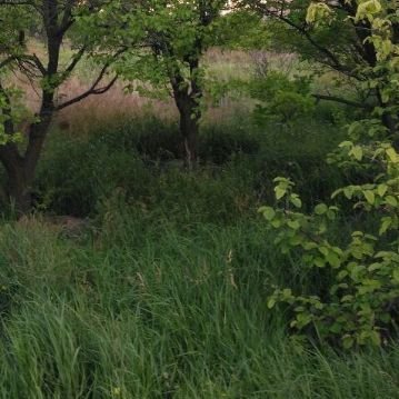 Sand Dartek Barg garden 500 meters temporary excellent with water
