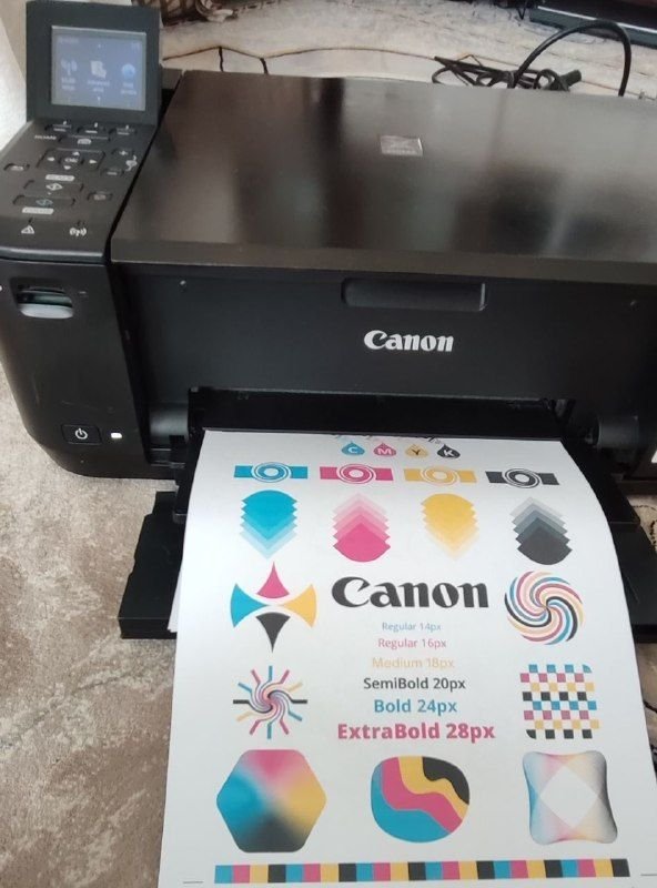 Canon MG4250 printer
