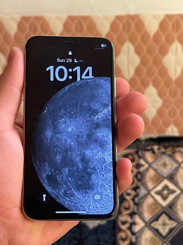 An iPhone x