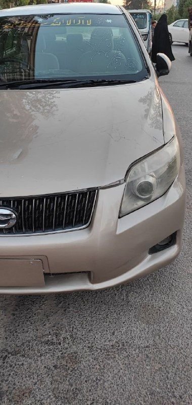Luxil Exo 2010 car