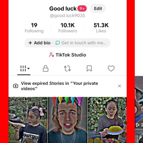 TikTok Professional Account | akant tik tak hrfh ai