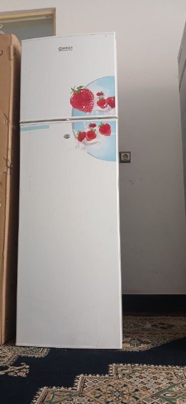 Excellent refrigerator and freezer, suitable for home and shop