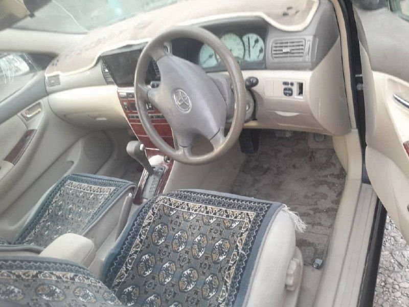 Luxel car sales